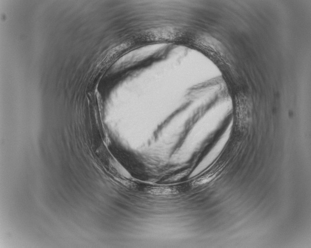 X0000059100123200510281824