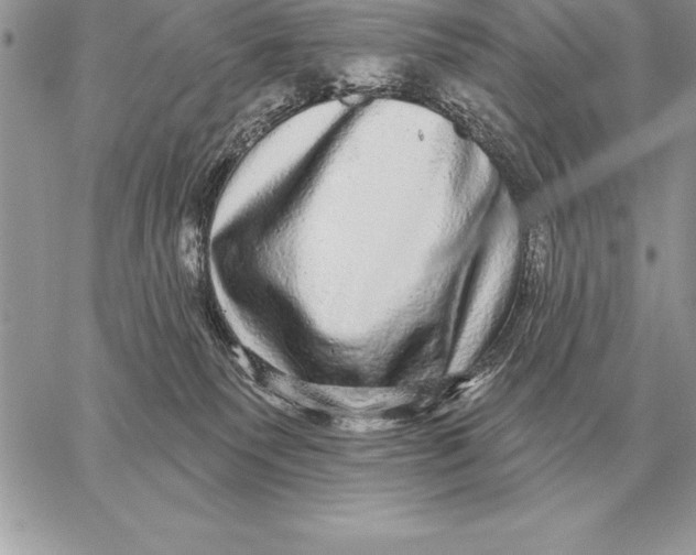 X0000059100135200510281824