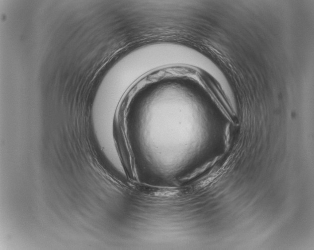 X0000059100172200510281823