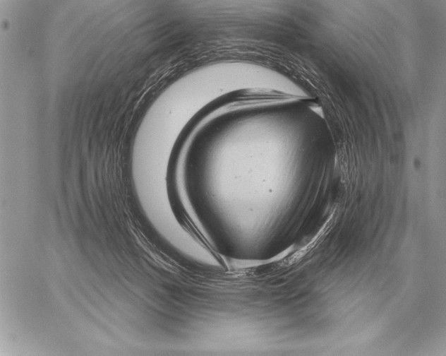 X0000059100175200510281823