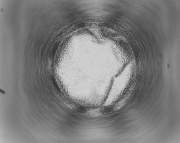 X0000059100178200510281823