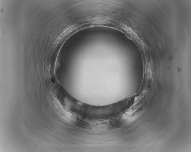 X0000059100201200510281823