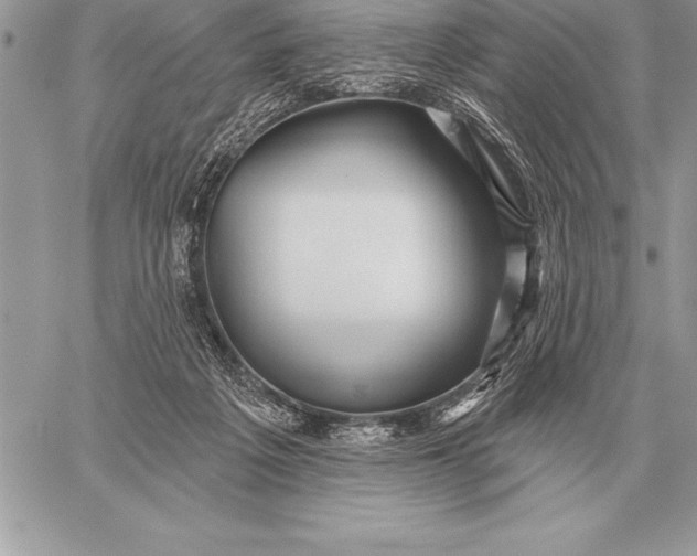 X0000059100217200510281822