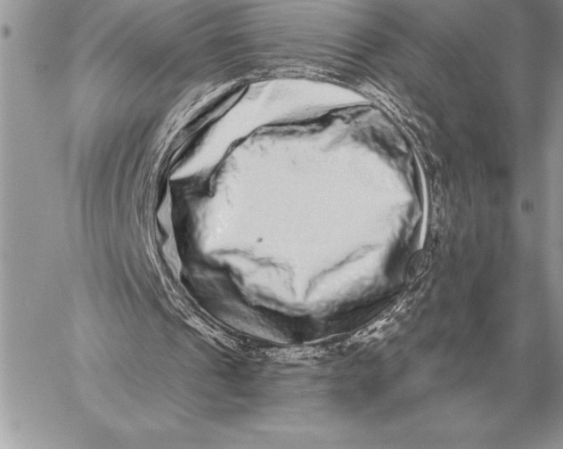 X0000059100241200510281821