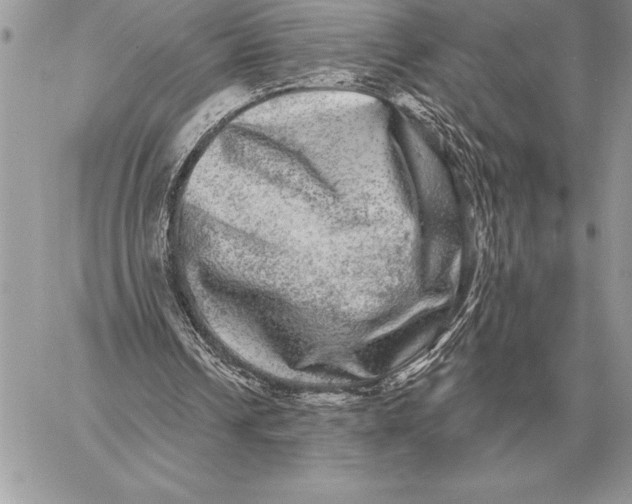 X0000059100242200510281821