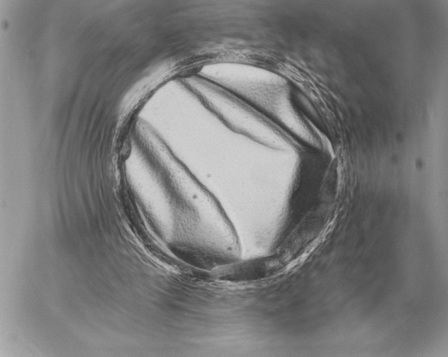 X0000059100245200510281821