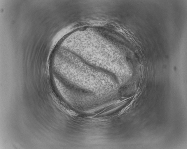 X0000059100246200510281821