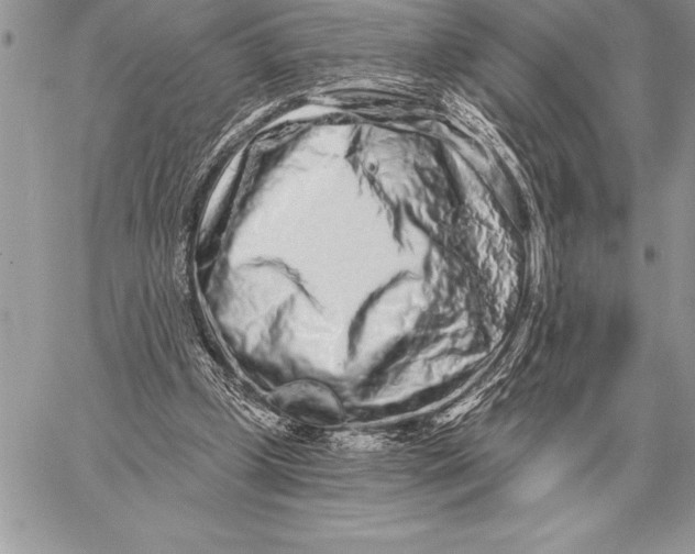 X0000059100249200510281821