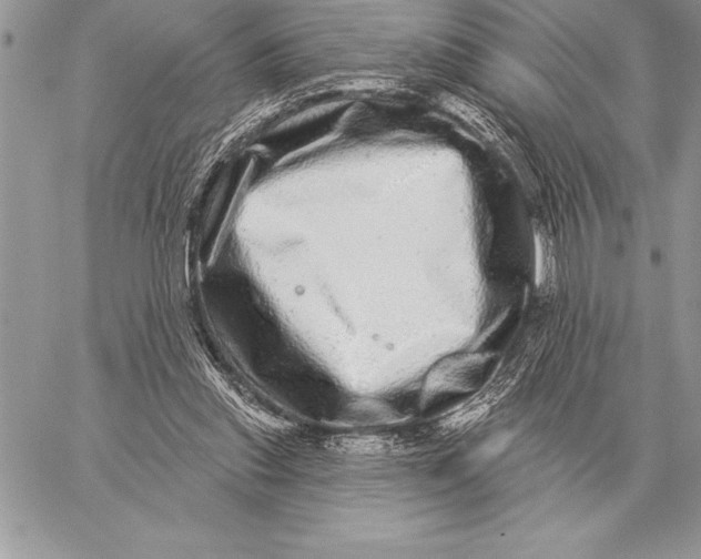 X0000059100253200510281821