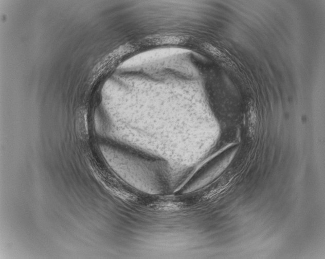X0000059100254200510281821