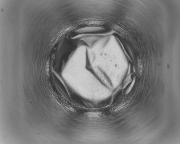 X0000059100255200510281821