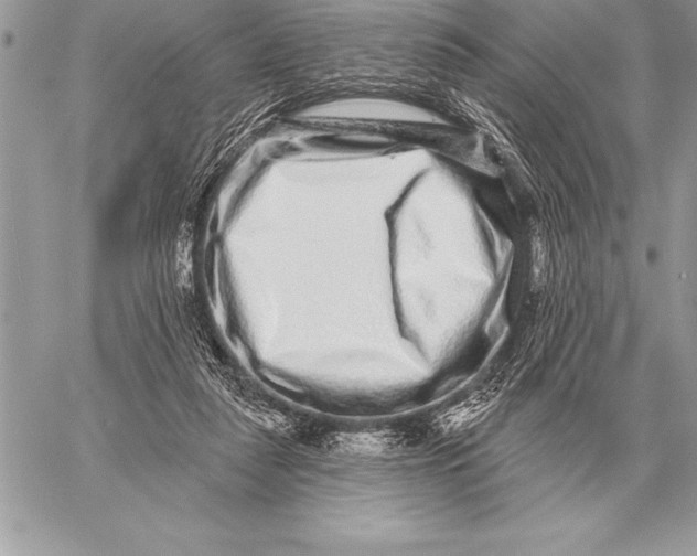 X0000059100259200510281821