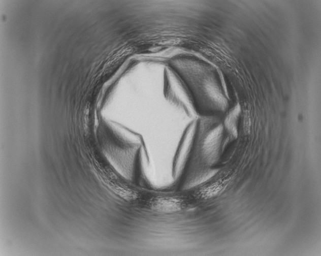 X0000059100263200510281821