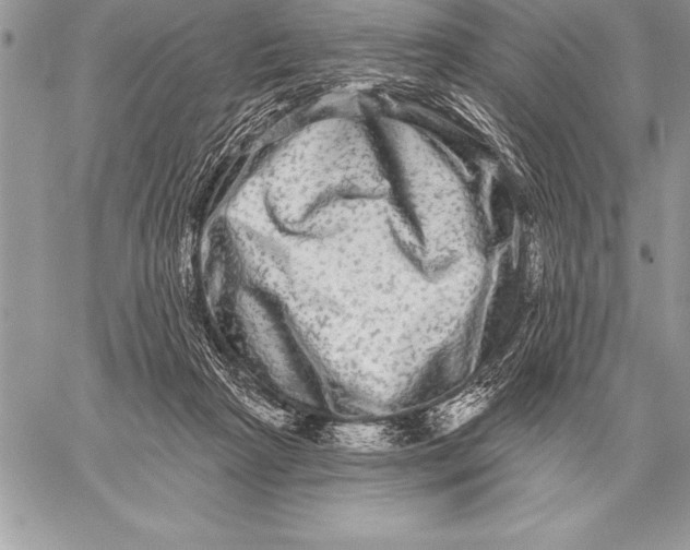 X0000059100265200510281821