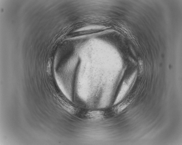 X0000059100269200510281822