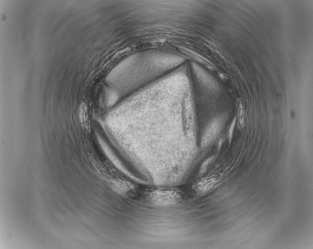 X0000059100270200510281822