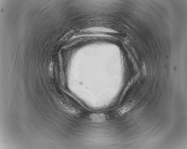 X0000059100271200510281822