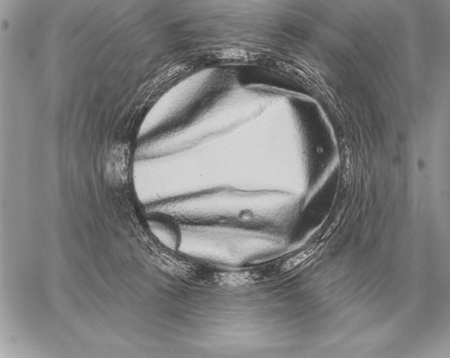 X0000059100273200510281822