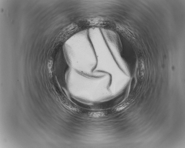 X0000059100275200510281822
