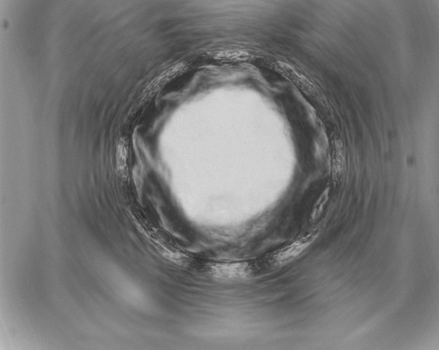 X0000059100281200510281822
