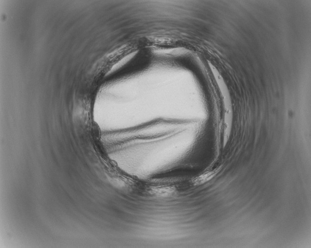 X0000059100283200510281822