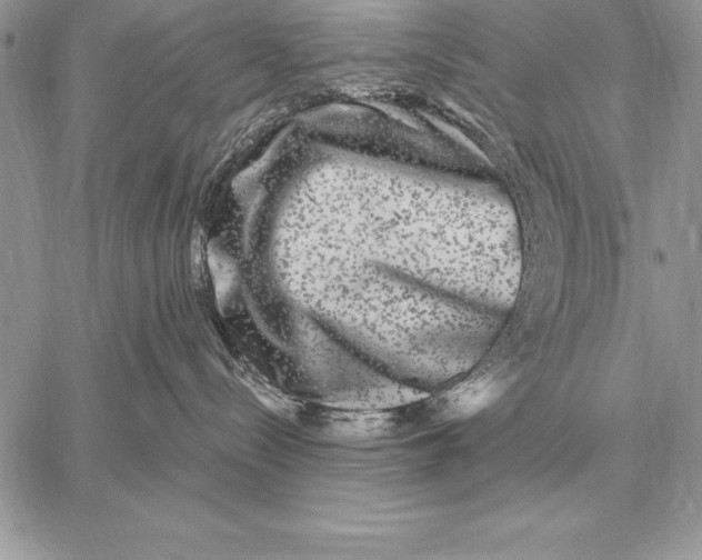 X0000059100288200510281822
