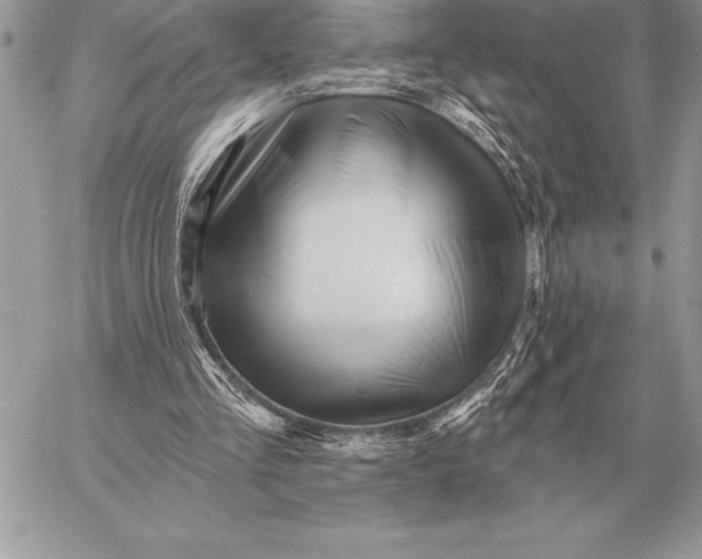X0000059100293200510281821
