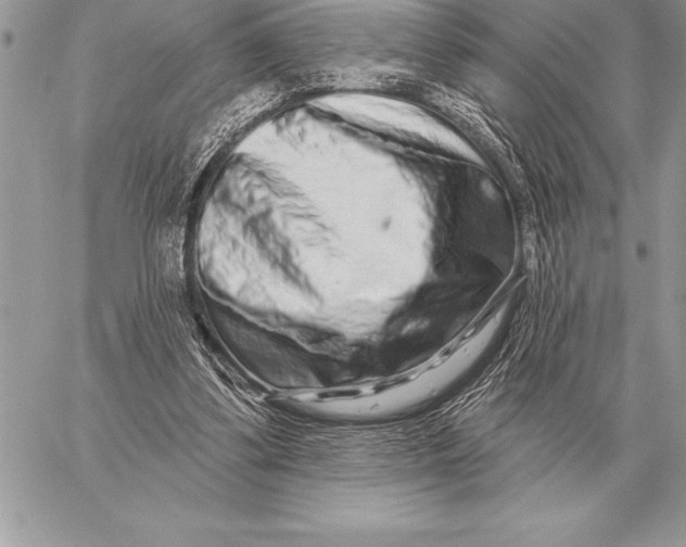 X0000059100299200510281821