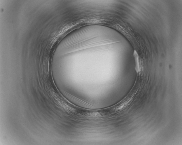 X0000059100301200510281821