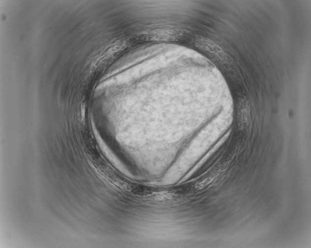 X0000059100310200510281821