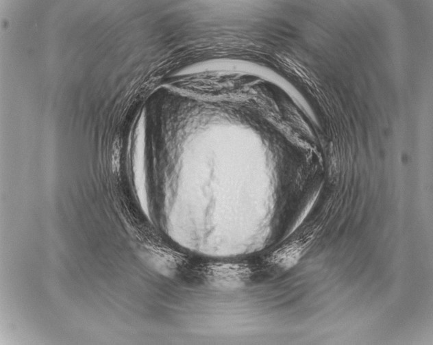 X0000059100315200510281821