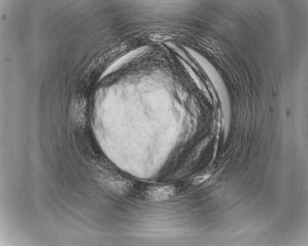 X0000059100319200510281821