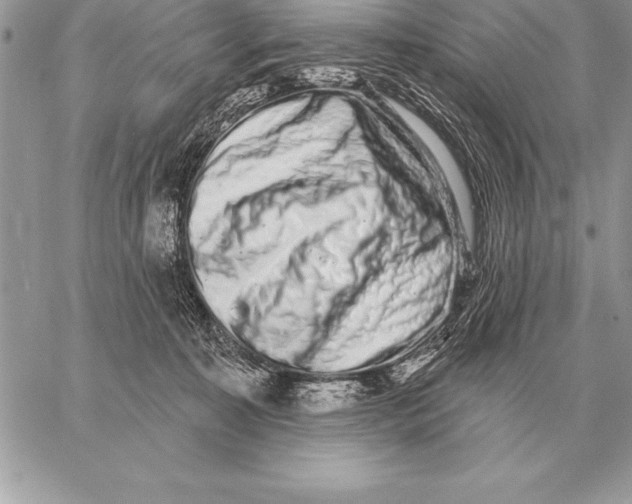 X0000059100323200510281821