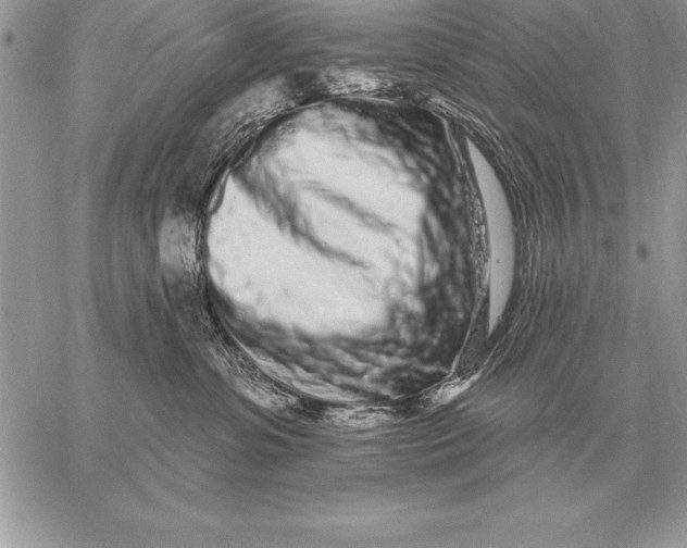 X0000059100331200510281820