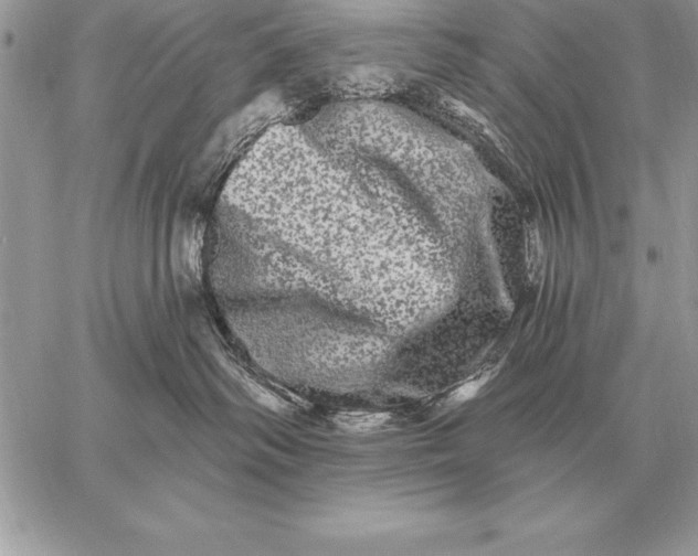 X0000059100334200510281820