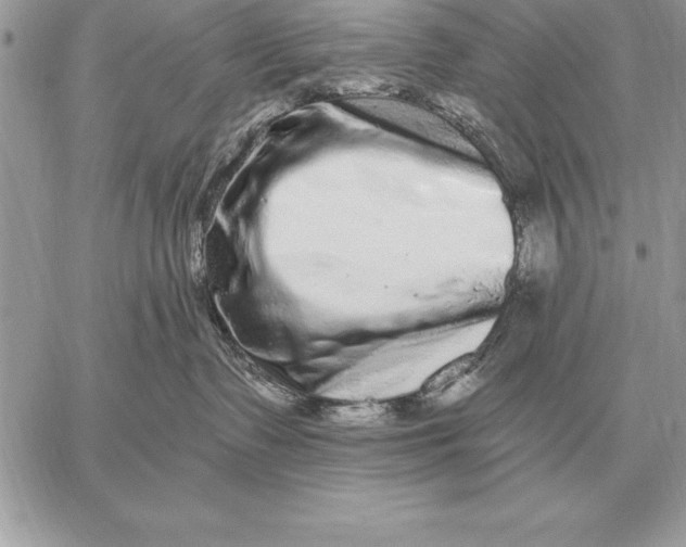 X0000059100335200510281820