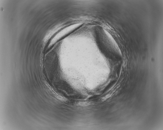 X0000059100341200510281820
