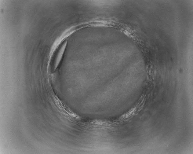 X0000059100343200510281820