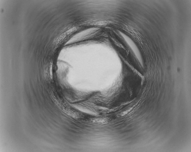X0000059100358200510281820
