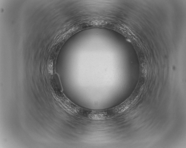 X0000059100368200510281820