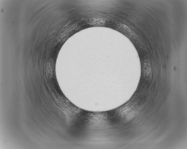 X0000059100370200510281820
