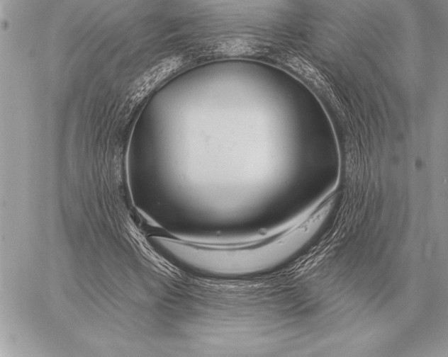 X0000059100393200510281819