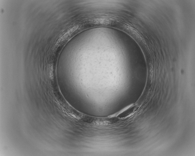 X0000059100403200510281819