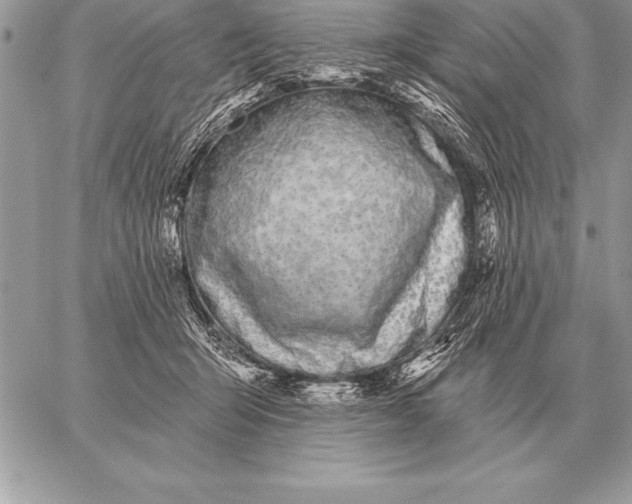 X0000059100415200510281819
