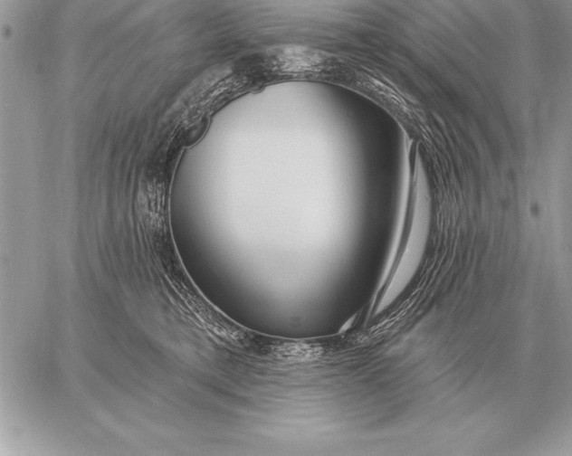X0000059100421200510281819