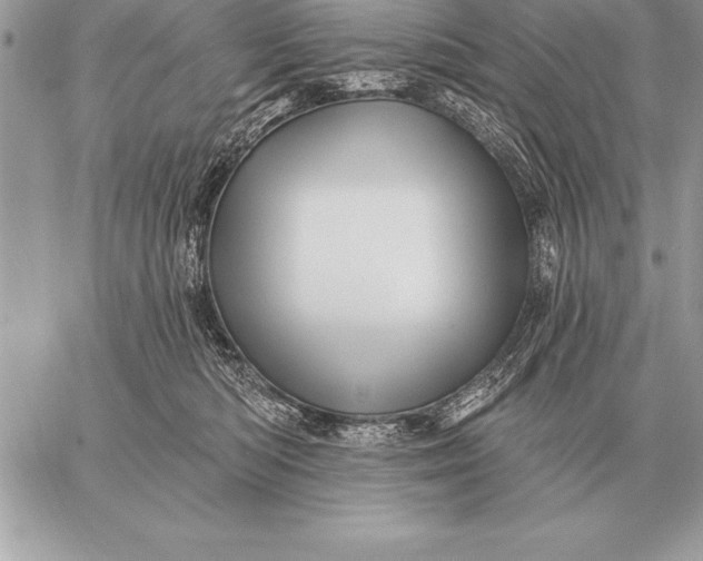 X0000059100422200510281819