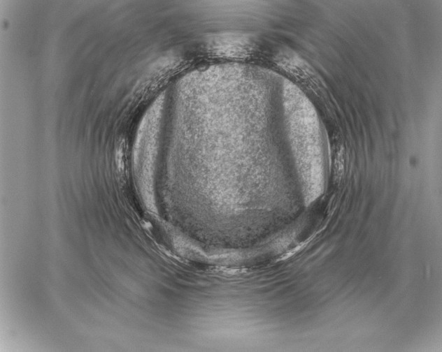 X0000059100424200510281819