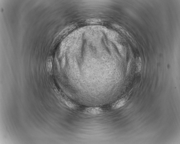 X0000059100427200510281819