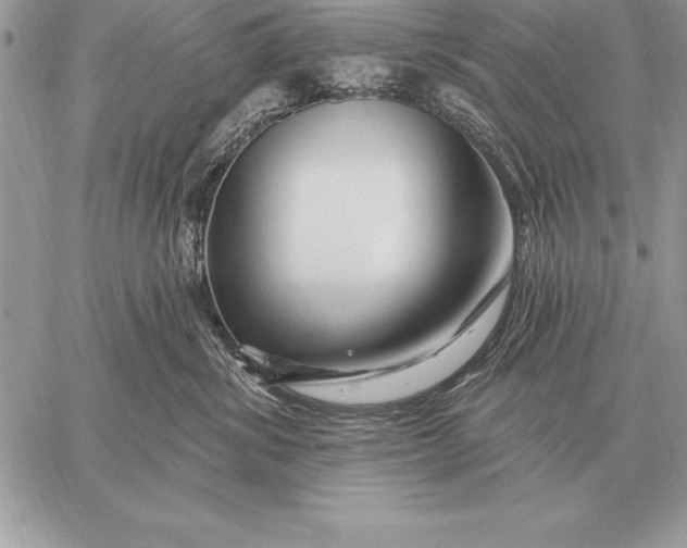 X0000059100428200510281819