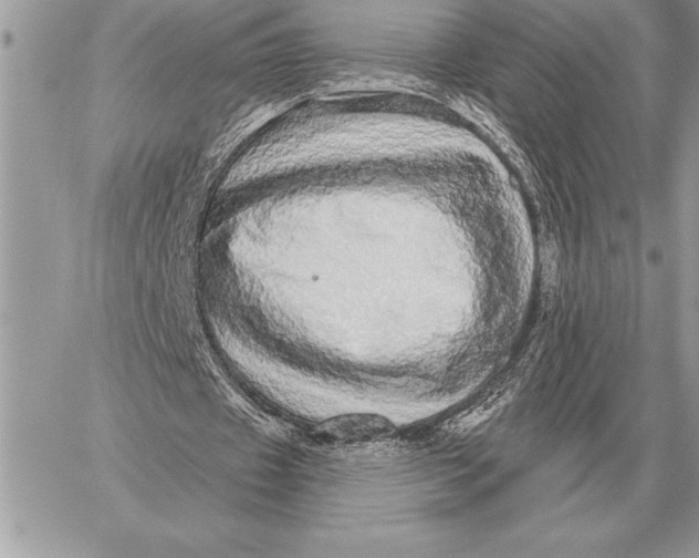 X0000059100433200510281818